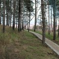 Cvetanović najavio početak “uređenja” brda Hisar, koje je i arheološko nalazište, iako je na njemu zabranjena izgradnja…