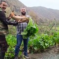 Nisu verovali da je Nenad uzgajio džinovsku repu, a onda je pred kamerom izvadio grdosiju: Ova neman ima 10 kg