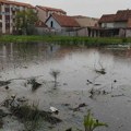 Profesor Šumarskog fakulteta upozorava: Ulica bez odvoda je kao reka bez korita, vlast ništa nije naučila posle Obrenovca