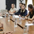 Mesarovićeva sa kineskim kompanijama o novom projektu u Merošini