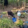 Policija otkrila laboratoriju marihuane u Grockoj, zaplenila 30 kilograma droge