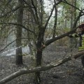 Ugašeni požari na Rudnoj glavi i kod Golubinja, spaseno deset domaćinstava