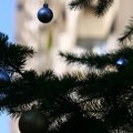 Grad Kragujevac pozvao građane da vrate prirodne novogodišnje jelke: Danas u parku počinje sadnja