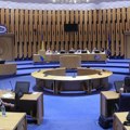 Kovačević i delegacija Srbije napustili konferenciju u Sarajevu zbog provokacija hrvatskog predstavnika