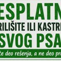 Besplatna sterilizacija i kastracija pasa: Zakazivanje termina putem telefona, Vibera i WhatsAppa Zelene šape