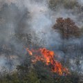 Ljudski faktor uzrok 70 odsto požara u turskoj regiji Mugla