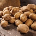 Bomba iz Drugog svetskog rata završila među krompirom! Radnici u fabrici primetili čudnu napravu na pokretnoj traci
