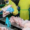 Panika u Evropi zbog kineske piletine: Dok cene hrane "divljaju", lansirali jeftinu hranu koja uništava sve