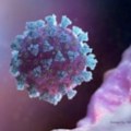 CDC: Antitela stvorena zarazom ili vakcinama dovoljna za zaštitu od novog soja kovida