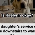 Pas spasao devojčici život Uznemireno došao do roditelja, pa ih odveo u ćerkinu sobu - kad su ovo videli hitno su zvali…