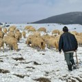 Ovako izgleda sibirsko jutro na Pešteru: Ledenice dugačke metar, iz kuće se ne izlazi - "Grejemo se na drva i molimo se da…