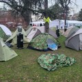 Određeno zadržavanje muškarcu uhapšenom zbog pretnji okupljenima u Pionirskom parku