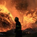 Španija i Portugal gore: Požari ne jenjavaju, ljudi beže pred vatrom, poljoprivrednici očajni