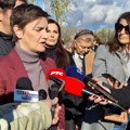 Brnabić najavila izgradnju elektrane u Nišu sa Azerbejdžanom vrednu 600 miliona evra