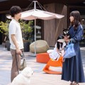 Good life preporuke: Japanska zabava, emotivan album i beleške o životu
