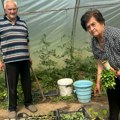 Baka Dobrija i deda Vladan u braku su neverovatnih 66 godina: Njihovu ljubavnu priču treba da čuje cela Srbija