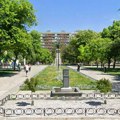Neobičan gost u centru Niša: Sve oči uprte u park na Trgu kralja Aleksandra