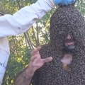Neverovatno! Turski pčelar će prekriti telo sa 65 kilograma pčela