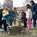 U Boru i Majdanpeku na Svetski dan šuma posađeno 1.500 sadnica