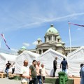 Mila Popović pita Dačića: Ko je potpisao odobrenje o zauzeću javnog prostora ispred Skupštine?