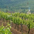 Ovo mesto je na sat i po od Beograda, a u njemu ćete se provesti kao bogovi: od dobrog vina i hrane do prelepe prirode