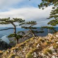 Parče raja pod UNESCO zaštitom na prodaju: Plac je na 1,5 km od centra Žabljaka, evo zašto može biti dobra investicija