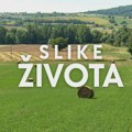 Slike života, u nedelju od 15.15h: Vrelina nad izvorom života