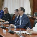 Vlada Srbije usvojila više dokumenata i izveštaja - većinski ne precizirajući o kojim dokumentima se radi