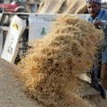 Indija zabranila izvoz pirinča: Kakve će to globalne posledice imati?