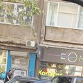(Foto) roda blokirala saobraćaj na Dorćolu: Vozači gledaju i ne veruju: Stoji i gleda levo, desno kao pravi pešak