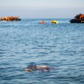 Više od 60 tela migranata pronađeno zapadno od Tripolija