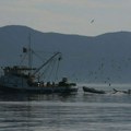 "Prvo sam mislio da je bova": Užas u Dalmaciji: More na popularnom ostrvu izbacilo telo muškarca