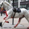 Pomahnitali konji jurili centrom Londona, povredili nekoliko ljudi
