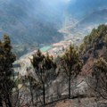 Požari besne na portugalskom ostrvu Madeira, vlasti poslale pojačanje vatrogascima