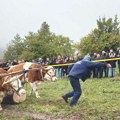 Takmičenje rabadžija u Ojkovici
