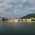 Crna Gora: Kazne i zaplene zbog ilegalnog izlova zaštićenih školjki