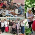 Klub za stare i odrasle u gerontološkom centru u Zrenjaninu Izložbama i radnim akcijama ulepšavaju prostor