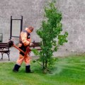 Uređenje i košenje zelenih površina