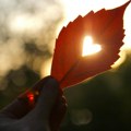 Horoskop za 25. oktobar: Device, kolo sreće se okreće! Vage, obratite pažnju na zdravlje