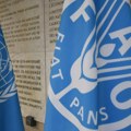 Svet ima još šest meseci: UN upozorava na moguću globalnu prehrambenu krizu zbog Ormuskog moreuza