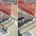 Haos na stadionu Vojvodine, atletičar bežao da sačuva živu glavu: Dramatičan snimak sa bezbednosne kamere