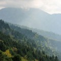 Srbija šume apeluju na građane da budu odgovorni zbog visokog rizika od požara