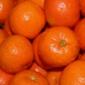 Bosna zabranila uvoz dve tone hrvatskih mandarina