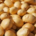 U četvrtak obeležavamo Svetski dan krompira, prvi put u istoriji