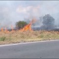 Lokalizovan veliki požar kod Sombora, gorelo rastinje kod stare deponije