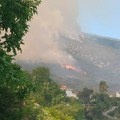 Uhapšen piroman koji je izazvao požare na Njivicama u blizini Igala: Nije mu prvi put