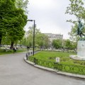 Invazija opasne biljke, hara po čitavoj Srbiji Slobodnih zona skoro i da nema, a simptomi se prepoznaju kod svih! Pokreću se…