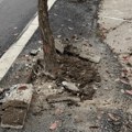 Čitaoci javljaju: Nakršili asfalt oko drveća i ostavili ga