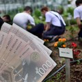 5.000 Динара месечна "плата" ђацима коју упишу дефицитарно занимање Ово је списак 36 профила за школску годину 2026/27