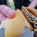 Neverovatna priča iz Požege: Sretenu život spasile dve paklice cigareta – čuvao ih dok je živ uz natpis „uspomena iz Niša“…